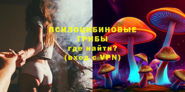 бошки Алексеевка