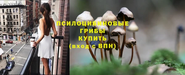 мяу мяу кристалл Алексин