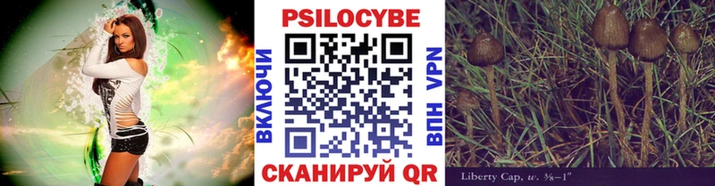 купить закладку  Боровск  Галлюциногенные грибы Psilocybe 